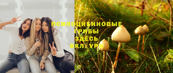 spice Щигры