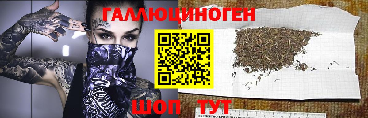 Псилоцибиновые грибы Psilocybe  Вход с VPN  даркнет сайт  Янаул 